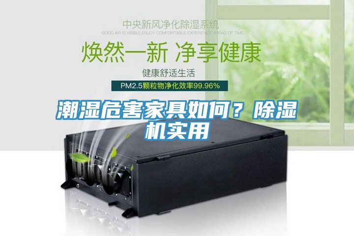 潮濕危害家具如何？除濕機(jī)實(shí)用