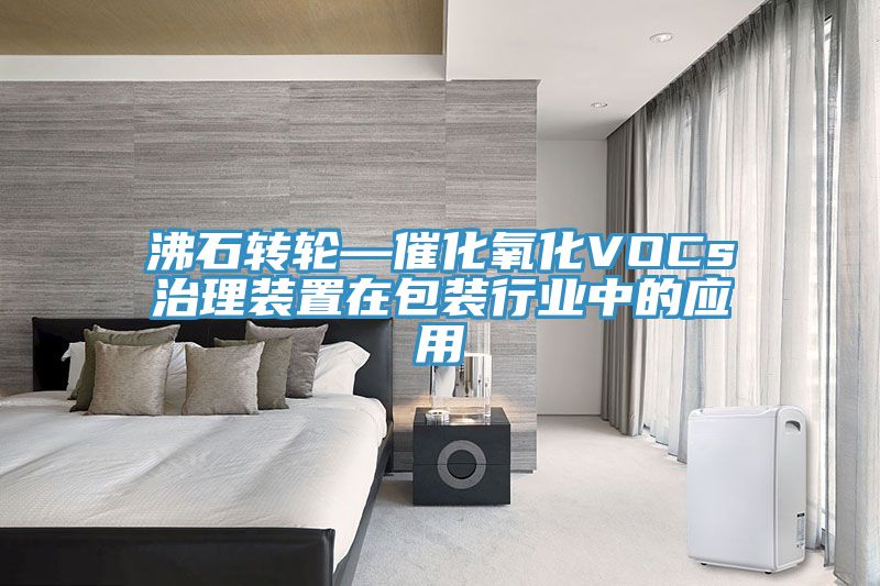 沸石轉輪—催化氧化VOCs治理裝置在包裝行業(yè)中的應用