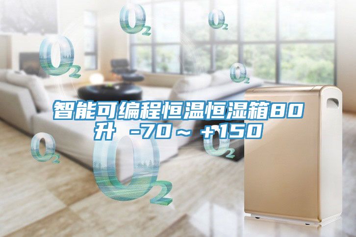 智能可編程恒溫恒濕箱80升 -70～＋150℃