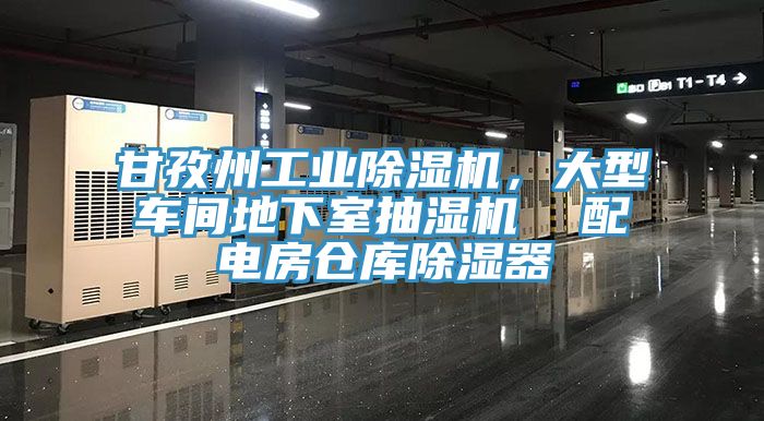 甘孜州工業(yè)除濕機(jī)，大型車間地下室抽濕機(jī)  配電房倉庫除濕器