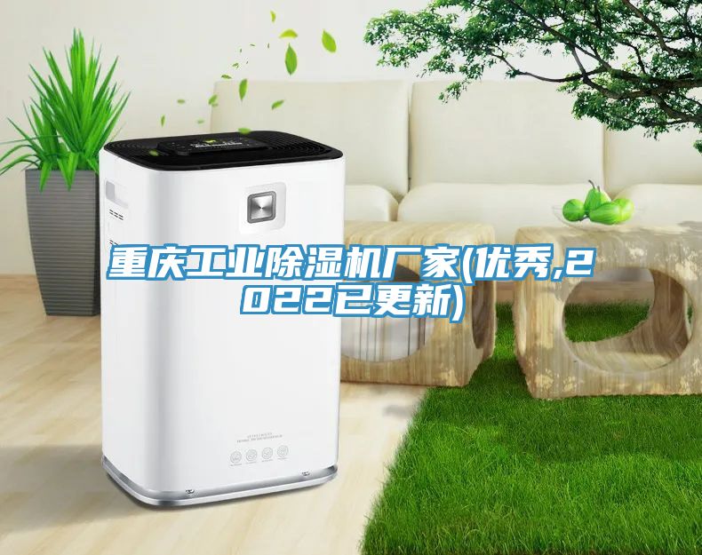 重慶工業(yè)除濕機(jī)廠家(優(yōu)秀,2022已更新)