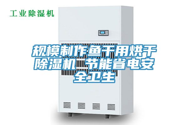 規(guī)模制作魚干用烘干除濕機(jī) 節(jié)能省電安全衛(wèi)生