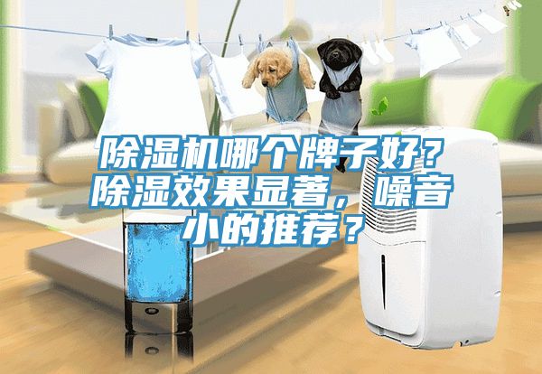 除濕機哪個牌子好？除濕效果顯著，噪音小的推薦？