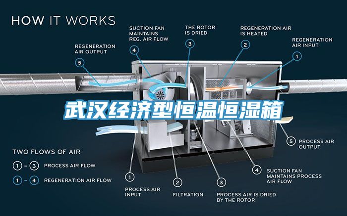 武漢經(jīng)濟型恒溫恒濕箱