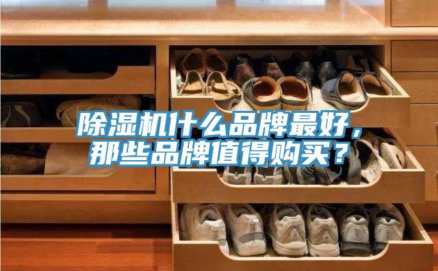 除濕機什么品牌最好，那些品牌值得購買？