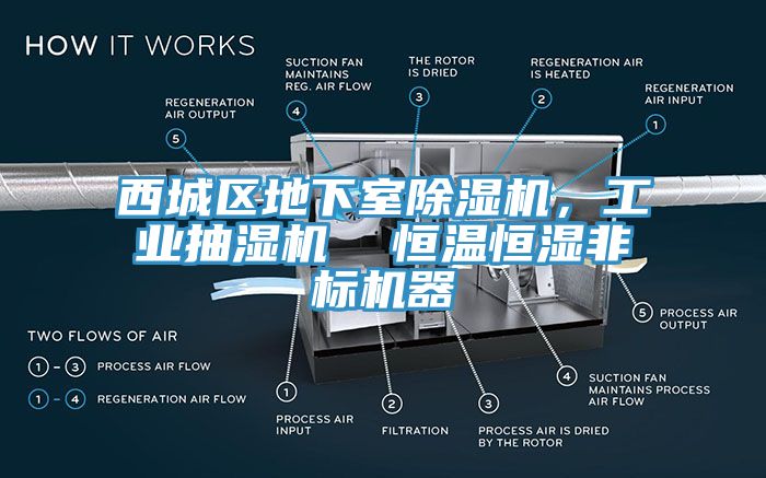 西城區(qū)地下室除濕機，工業(yè)抽濕機  恒溫恒濕非標(biāo)機器