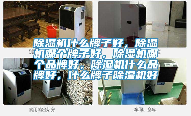 除濕機什么牌子好，除濕機哪個牌子好，除濕機哪個品牌好，除濕機什么品牌好，什么牌子除濕機好