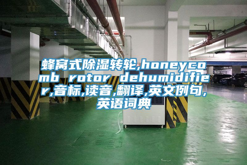 蜂窩式除濕轉(zhuǎn)輪,honeycomb rotor dehumidifier,音標(biāo),讀音,翻譯,英文例句,英語詞典