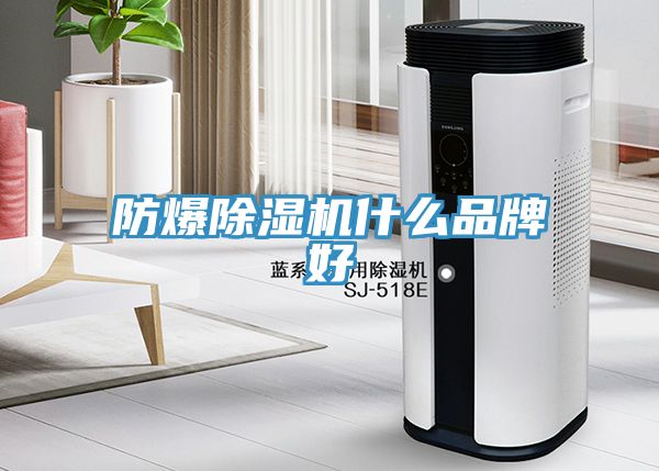 防爆除濕機(jī)什么品牌好