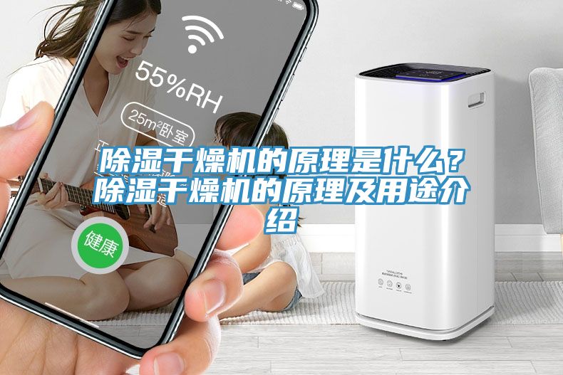 除濕干燥機的原理是什么？除濕干燥機的原理及用途介紹