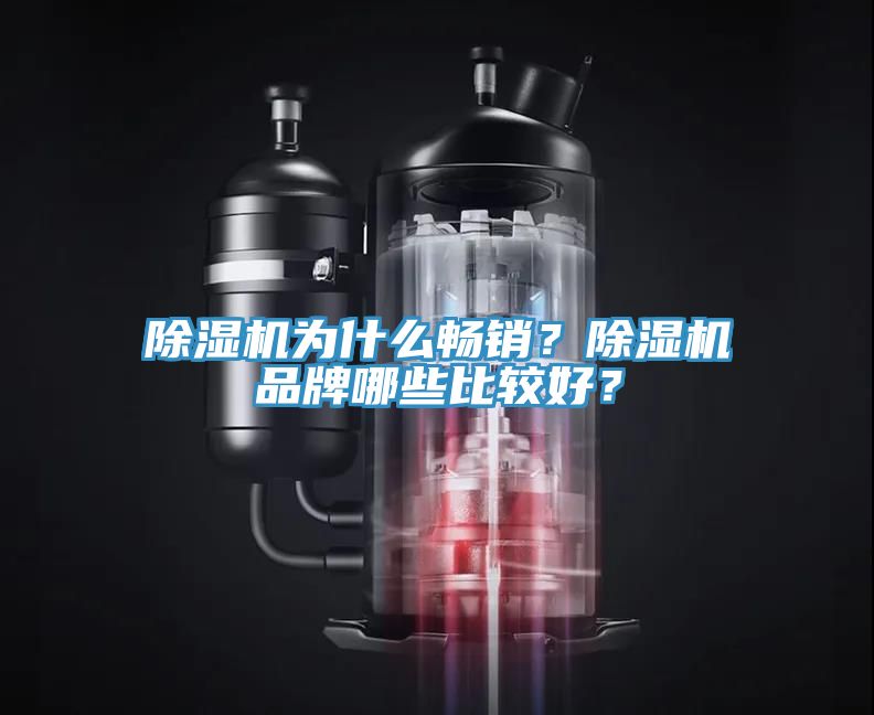 除濕機(jī)為什么暢銷？除濕機(jī)品牌哪些比較好？