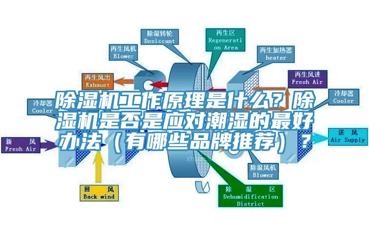 除濕機(jī)工作原理是什么？除濕機(jī)是否是應(yīng)對(duì)潮濕的最好辦法（有哪些品牌推薦）？