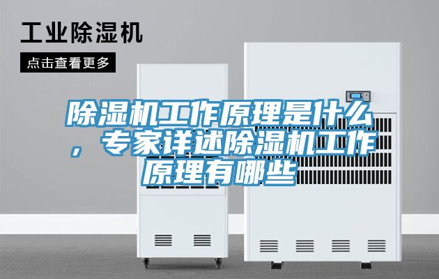 除濕機工作原理是什么，專家詳述除濕機工作原理有哪些