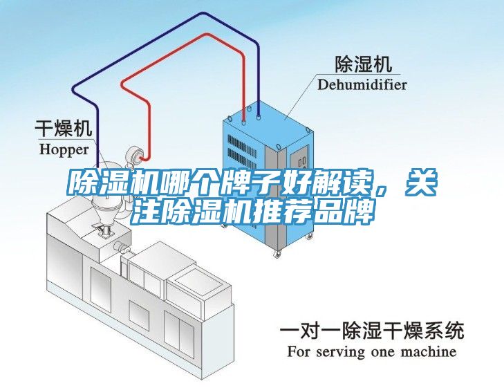 除濕機(jī)哪個(gè)牌子好解讀，關(guān)注除濕機(jī)推薦品牌