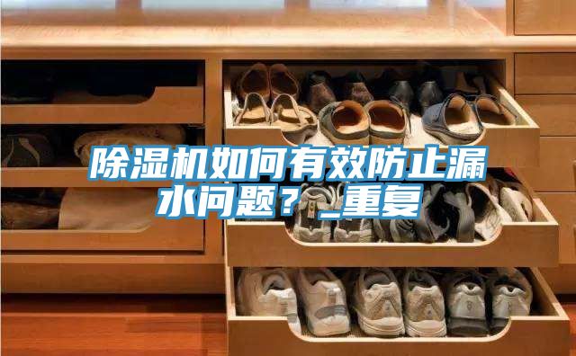 除濕機如何有效防止漏水問題？_重復