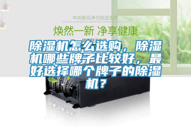 除濕機怎么選購，除濕機哪些牌子比較好，最好選擇哪個牌子的除濕機？