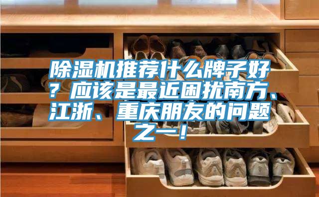 除濕機推薦什么牌子好？應(yīng)該是最近困擾南方、江浙、重慶朋友的問題之一！