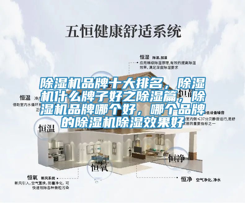 除濕機(jī)品牌十大排名，除濕機(jī)什么牌子好之除濕篇，除濕機(jī)品牌哪個(gè)好，哪個(gè)品牌的除濕機(jī)除濕效果好