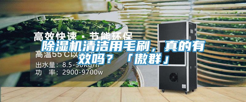 除濕機(jī)清潔用毛刷，真的有效嗎？「傲群」