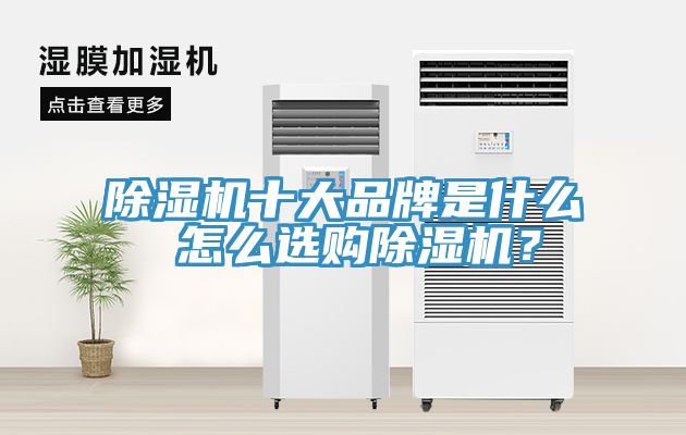 除濕機(jī)十大品牌是什么 怎么選購(gòu)除濕機(jī)？