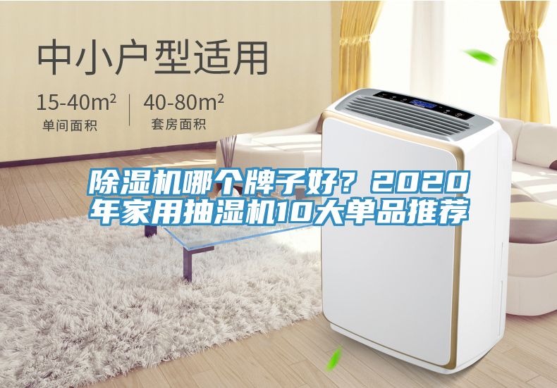 除濕機哪個牌子好？2020年家用抽濕機10大單品推薦