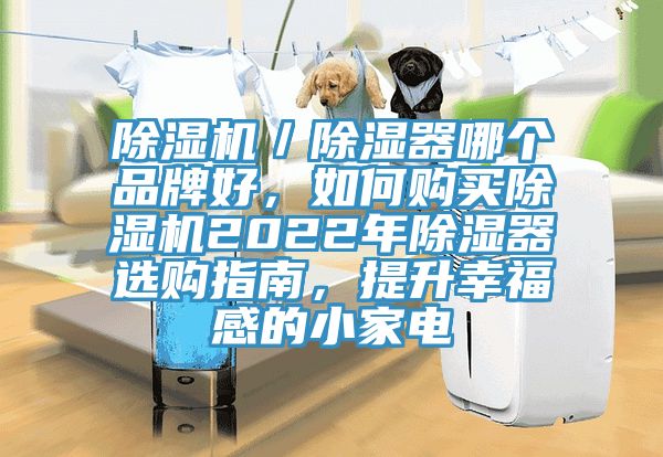 除濕機(jī)／除濕器哪個品牌好，如何購買除濕機(jī)2022年除濕器選購指南，提升幸福感的小家電